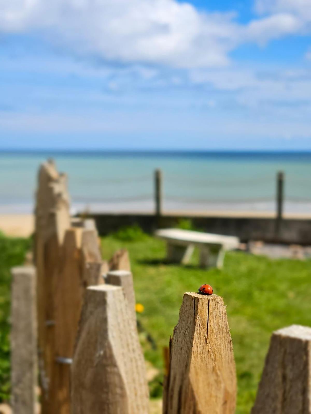 Entre Ciel Et Mer Luc-sur-Mer Kültér fotó